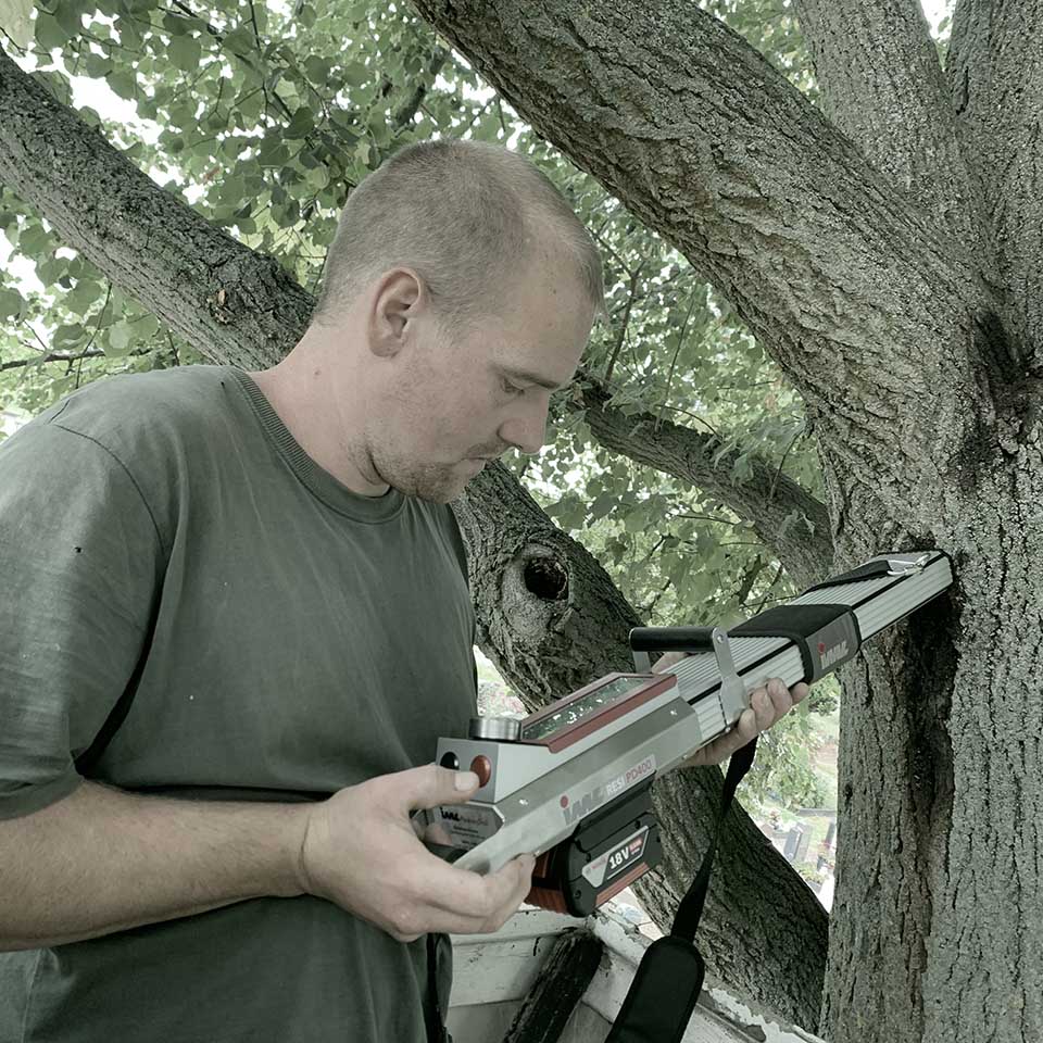 Mitarbeiter überprüft mit Messgerät den Baumstamm